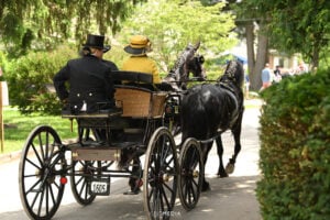 Devon Horse Show 2025