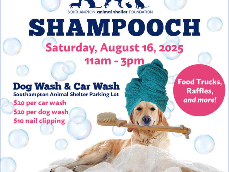 Southampton Animal Shelter Shampooch event