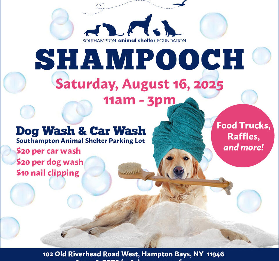 Southampton Animal Shelter Shampooch event
