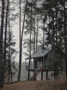 a shot of a cabin in woods