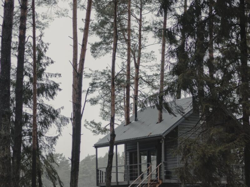 a shot of a cabin in woods