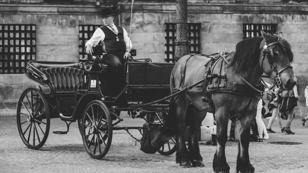 monochrome photo of man in carriage