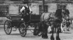 monochrome photo of man in carriage