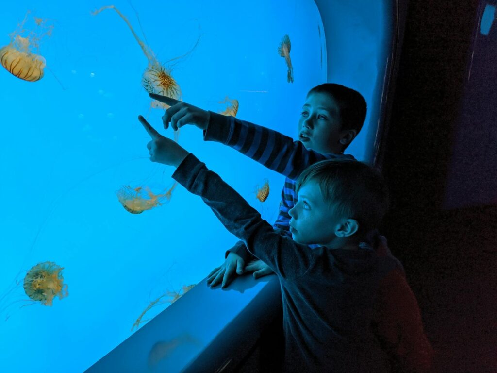 two boy touching aquarium glass