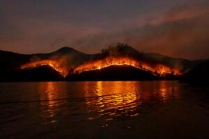 photo of wildfire on mountain