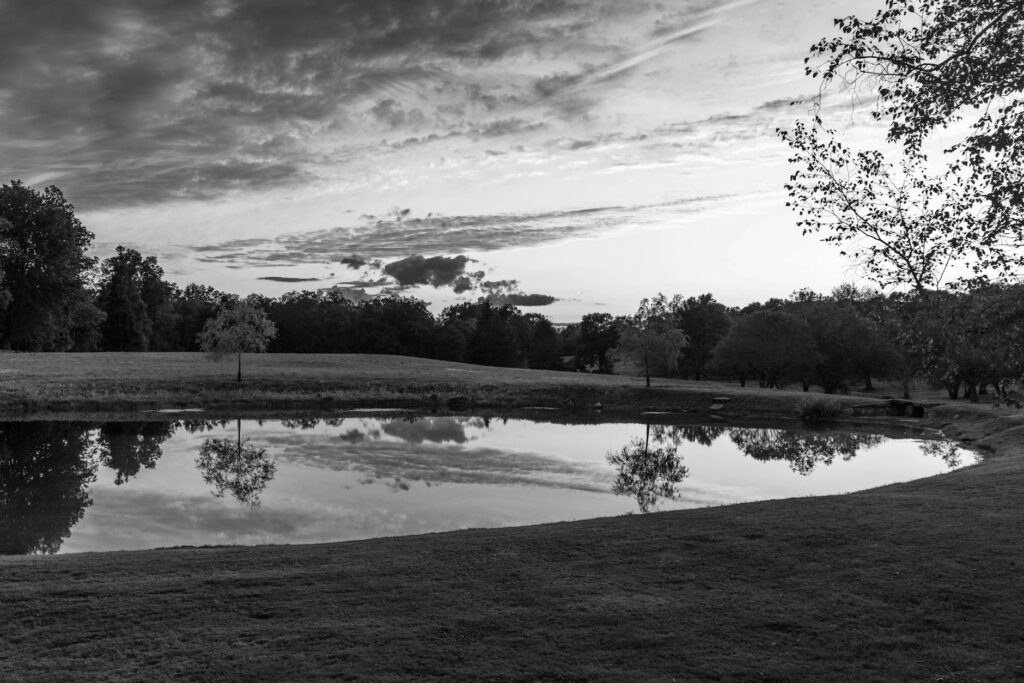 serene landscape with reflective pond in litchfield