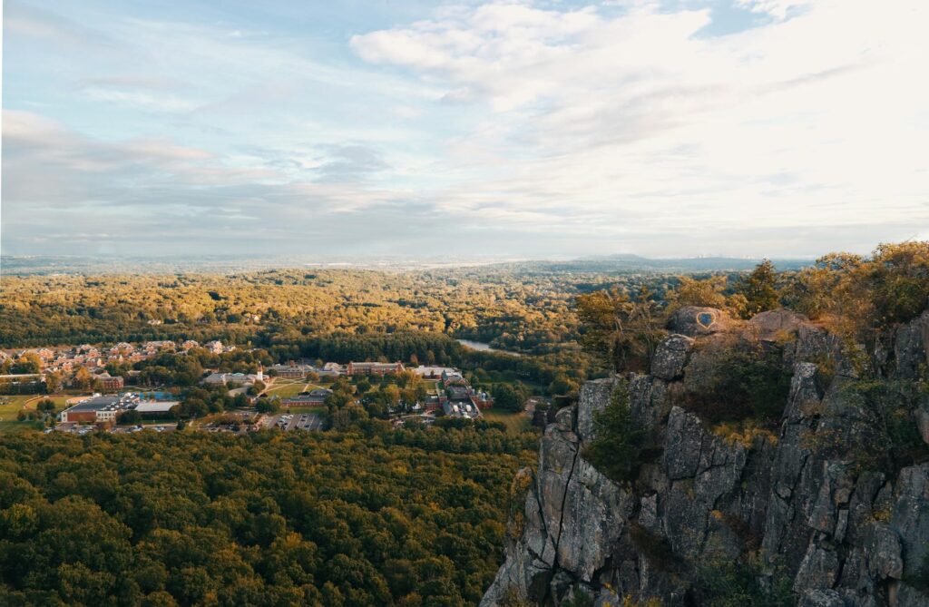 gray rock formation and trees