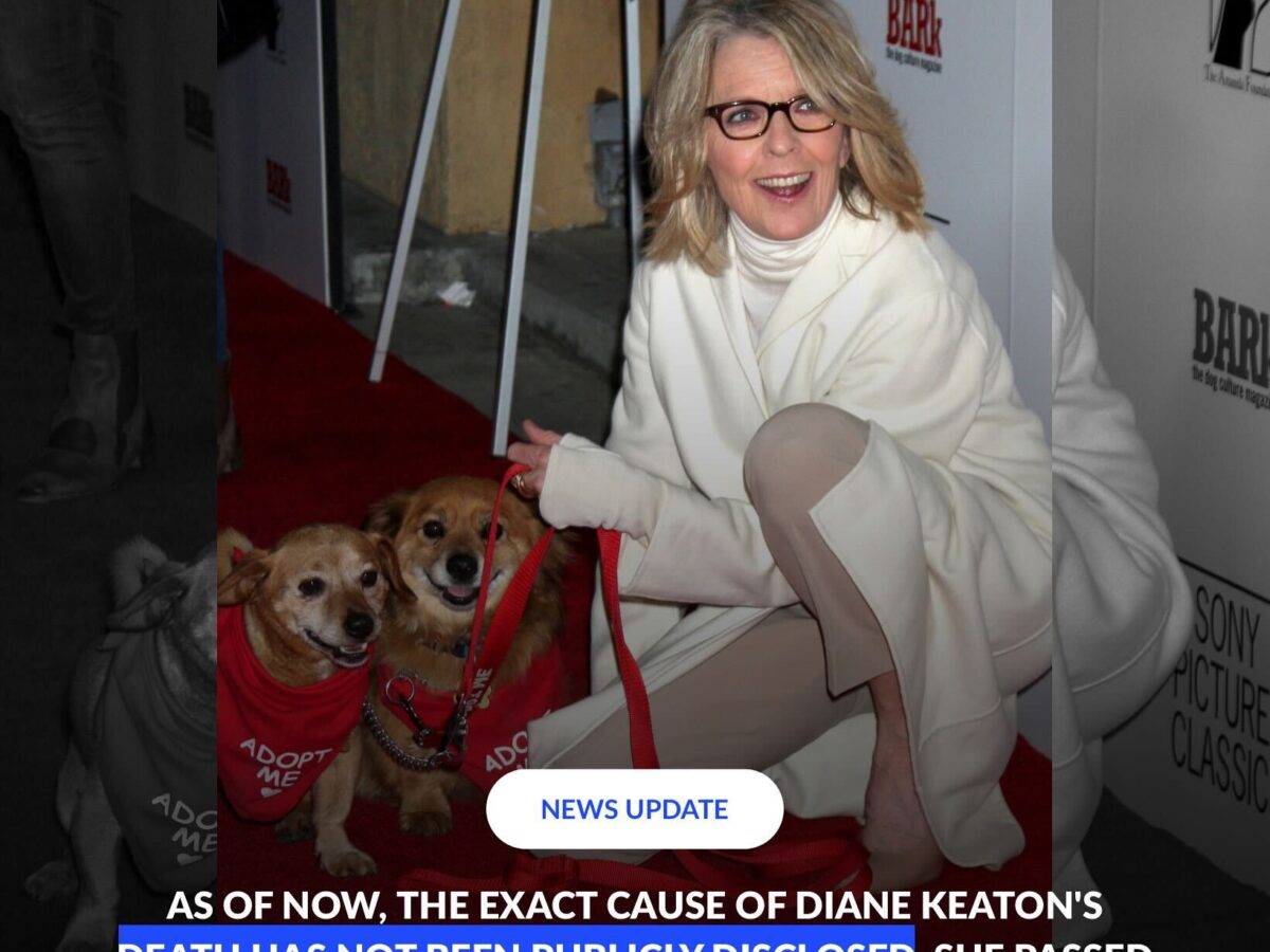 LOS ANGELES - APR 17: Diane Keaton and Rescue dogs up for adoption arrives at the "Darling Companion" Premiere at Egyptian Theater on April 17, 2012 in Los Angeles, CA