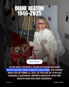 LOS ANGELES - APR 17: Diane Keaton and Rescue dogs up for adoption arrives at the "Darling Companion" Premiere at Egyptian Theater on April 17, 2012 in Los Angeles, CA