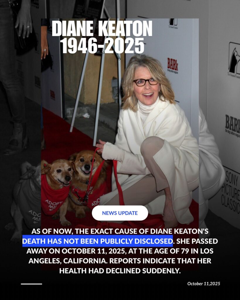 LOS ANGELES - APR 17: Diane Keaton and Rescue dogs up for adoption arrives at the "Darling Companion" Premiere at Egyptian Theater on April 17, 2012 in Los Angeles, CA