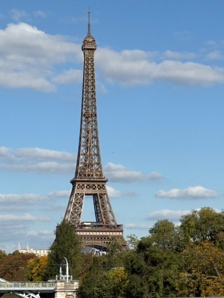 eiffel tower surrounded by trees on a sunny day