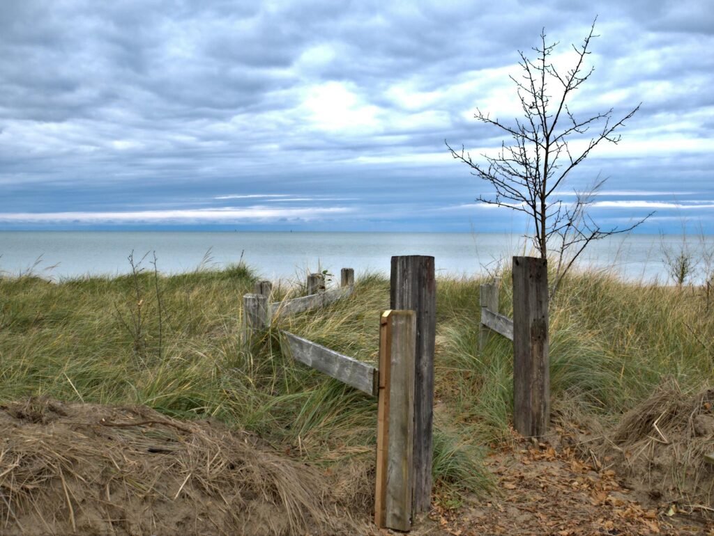 wooden fences on grass field