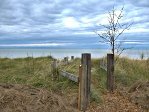 wooden fences on grass field