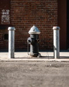 fire hydrant in the sidewalk