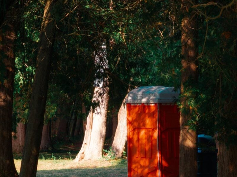 orange portable toilet in davidsons beach forest