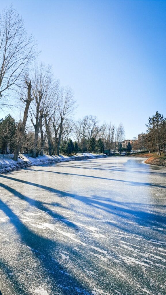 frozen winter landscape with bare trees
