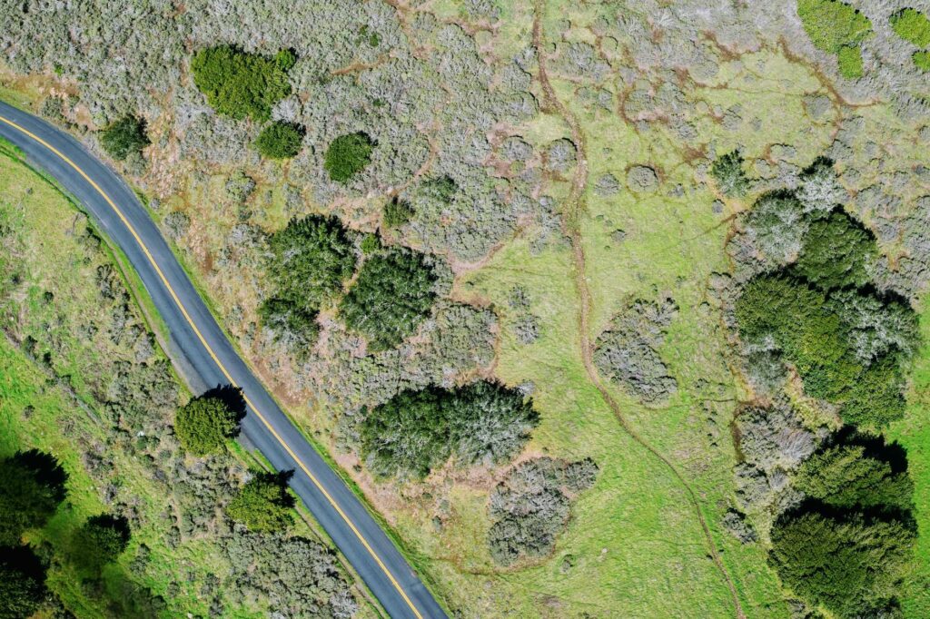 aerial photography of road