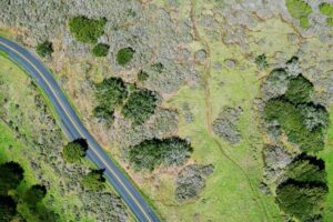 aerial photography of road
