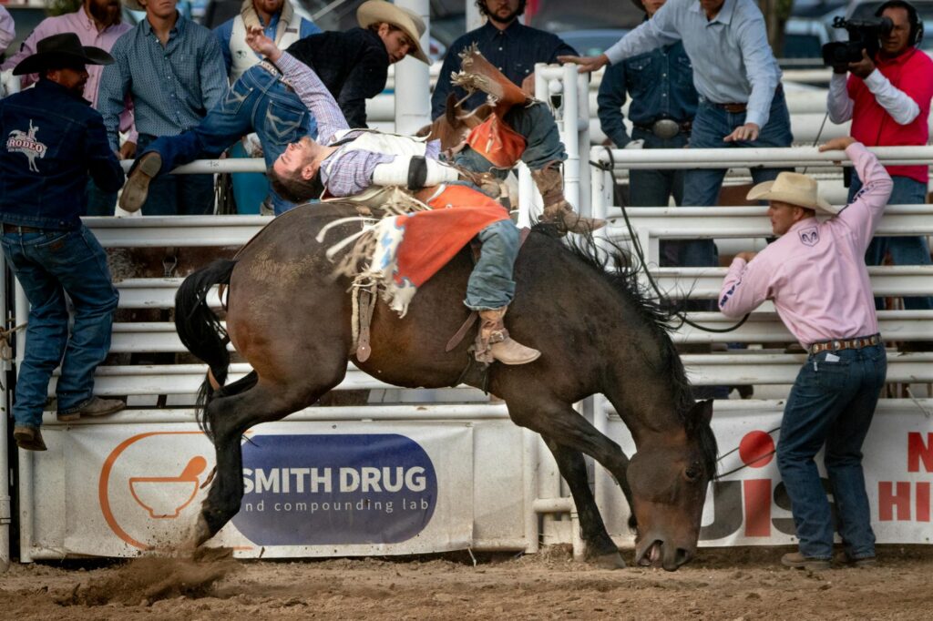 people during rodeo