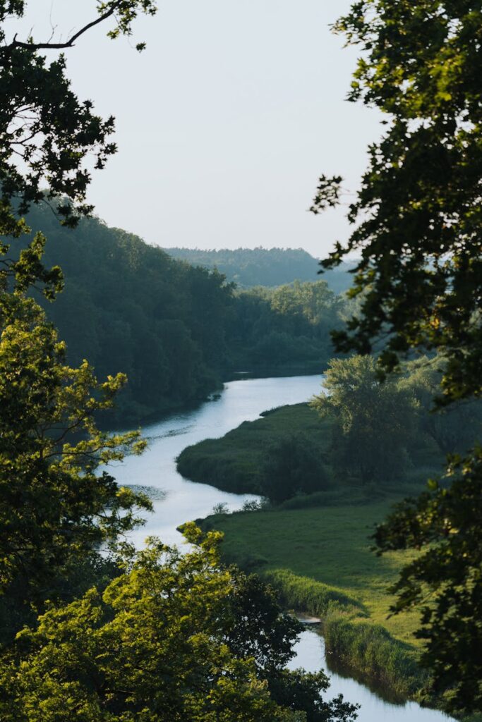 river in green valley