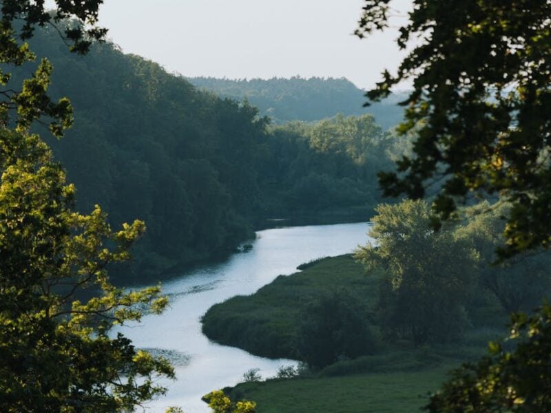 river in green valley