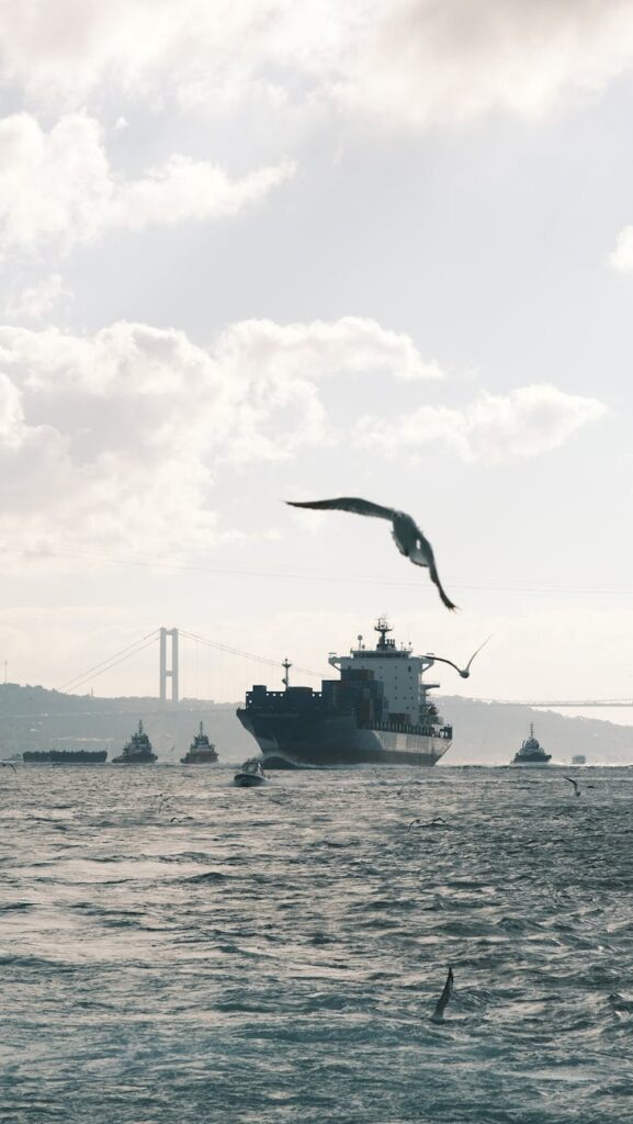 cargo ship passing bosphorus strait in istanbul