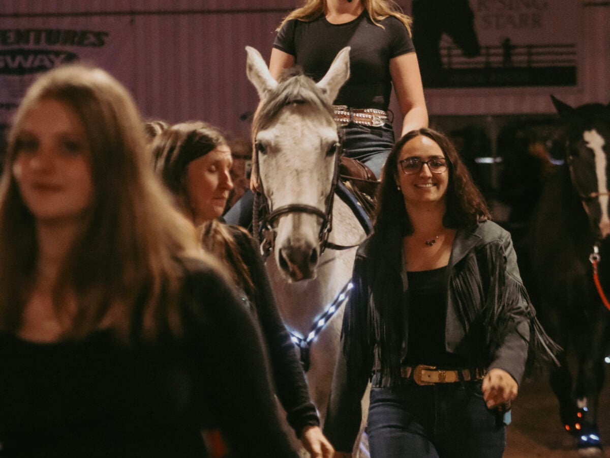 Wilton, Connecticut, USA, October 2025: Photo by Natalia Szurawski of Rising Starr Horse Rescue taken at 2025 Annual Gala Event