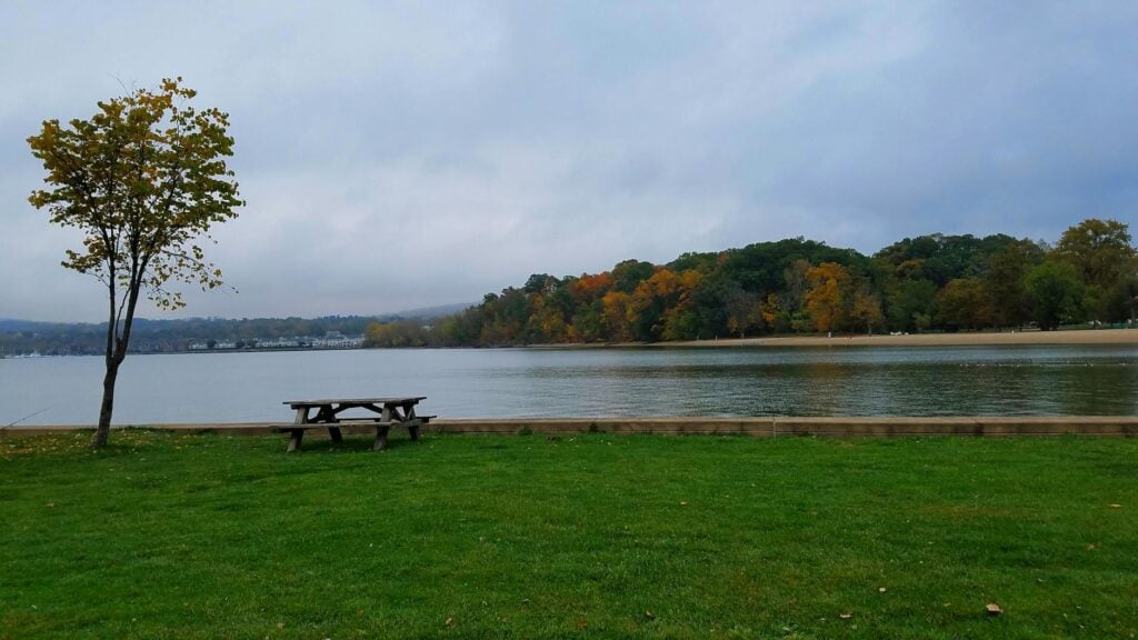 serene park view with autumn foliage and water