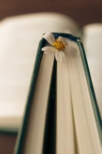 close up of book with flower bookmark