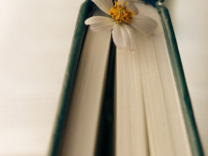 close up of book with flower bookmark