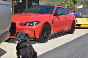 Malibu, Ca, USA, April 2025: Brianz Garage Dog with their Orange BMW, a yellow Lamborghini parked behind it.