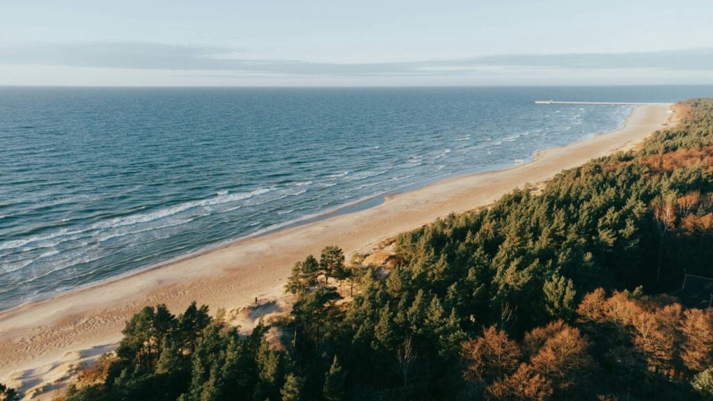 aerial photo of a beach