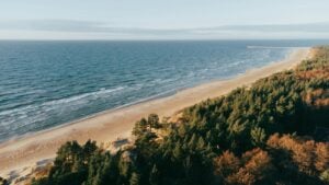 aerial photo of a beach