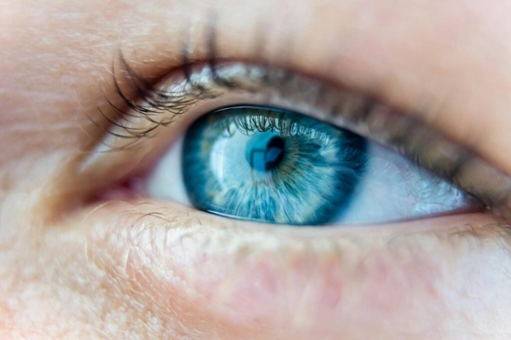 blue eye of a person in close up photograpy