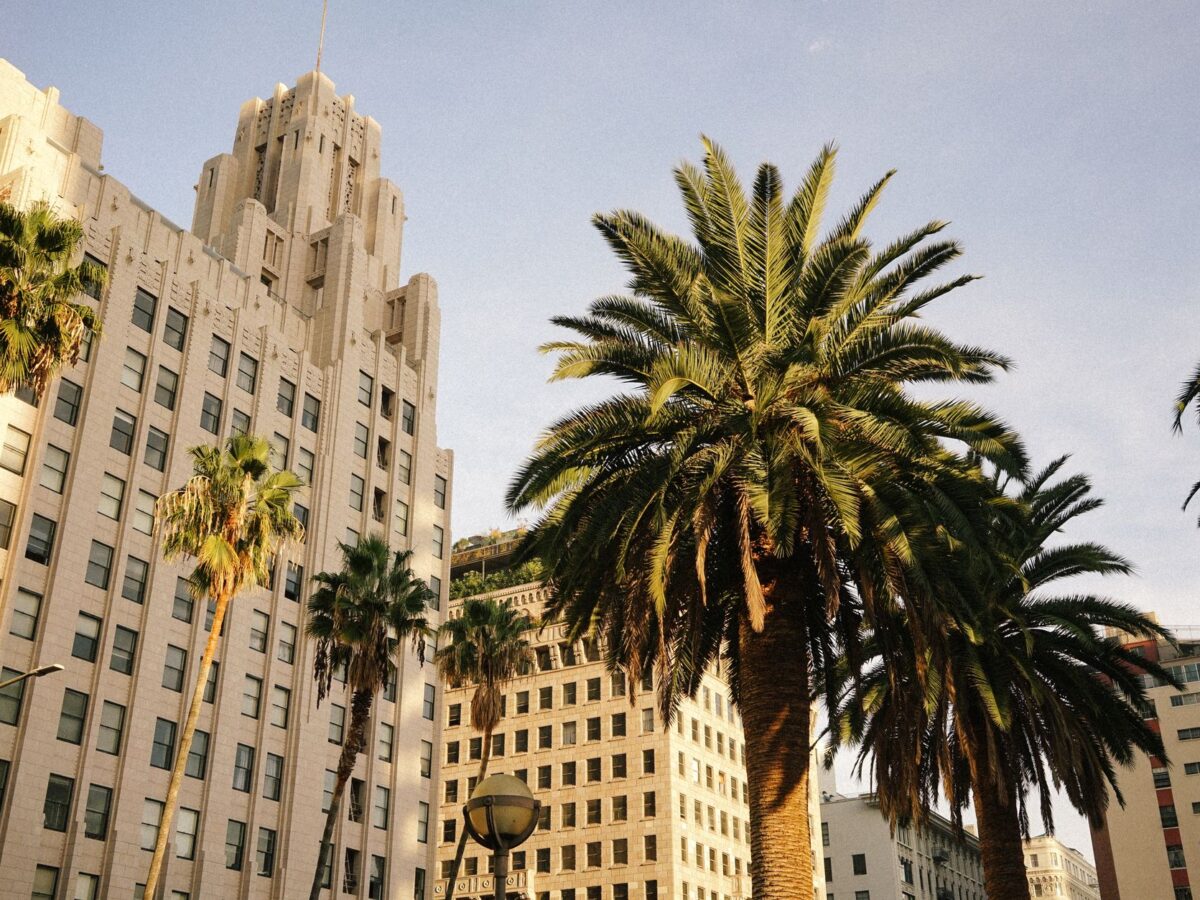 15 Things to Do in Los Angeles This Weekend: August 14–16, 2026