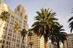 art deco building and palm trees in urban setting