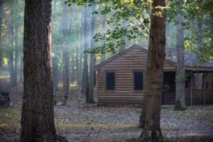 brown wooden house in the woods